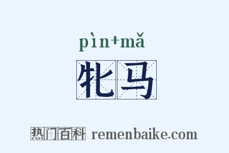 牝马是什么意思的图片